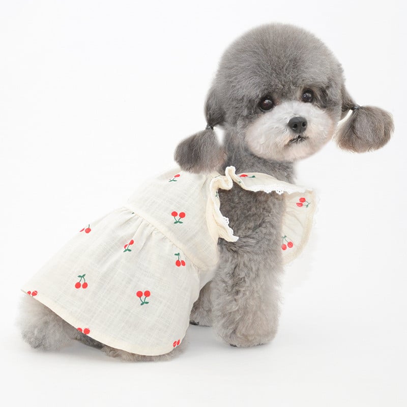 Pet Flying Sleeve Skirt – Cherry Print Cotton Dress for Cats & Dogs (Red Cherry & Yellow, Sizes S–2XL)