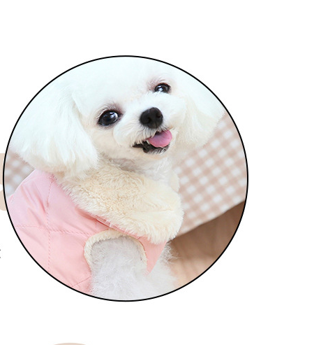 Dog Clothes for Pomeranians – Quilted Embroidered Nylon & Cotton Outfits with Plush Lining (S to XXL Sizes)