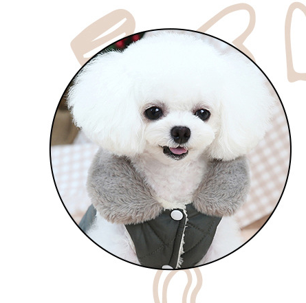 Dog Clothes for Pomeranians – Quilted Embroidered Nylon & Cotton Outfits with Plush Lining (S to XXL Sizes)