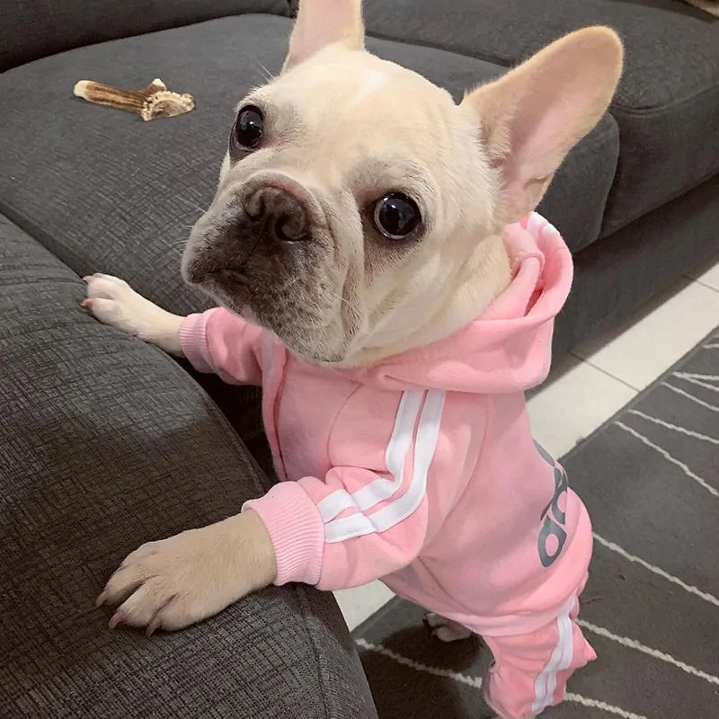 Dog Jumpsuit Costume – Adorable, Cozy Outfit for Small & Medium Dogs