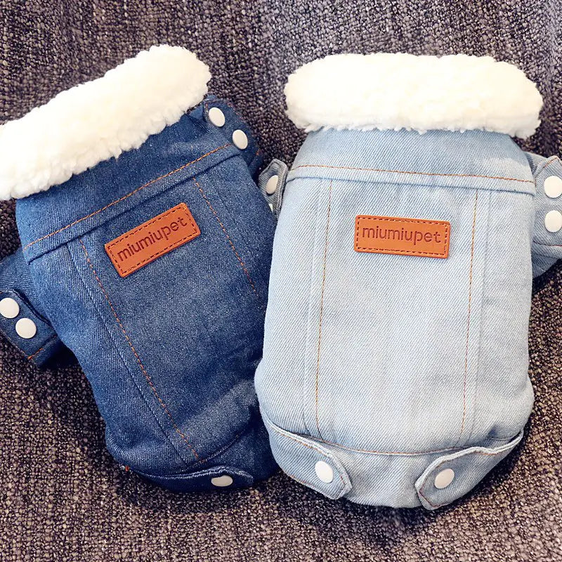 Thickened Warm Dog Cotton Jacket – Stylish Denim Winter Coat (XS to XL)