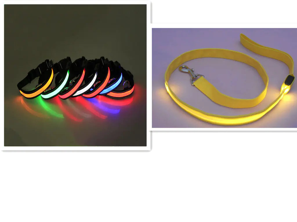 USB Rechargeable LED Dog Collar – High-Visibility Light-Up Collar for Nighttime Walks (Sizes XS–XL)