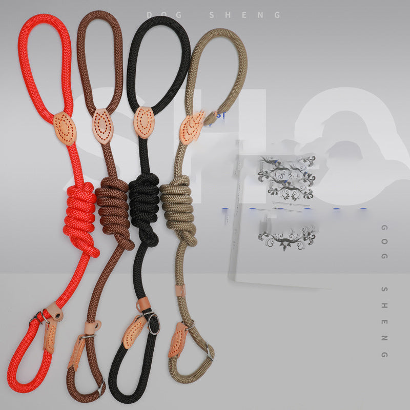 Slip Lead Training Dog Leash – Adjustable Rope Leash for Dogs (S to XXL)