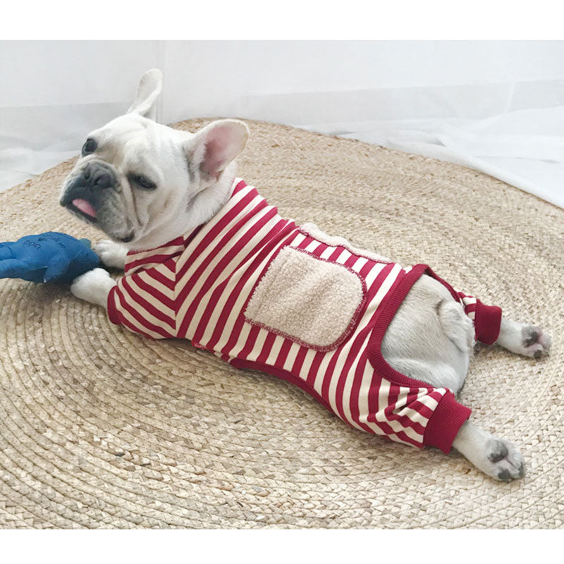 Striped Padded Sweater for Pet and Owner – Four-Legged Cozy Twinning Style (S–3XL Pet Sizes + One Size Adult Fit)