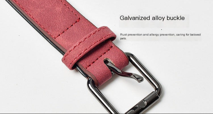 Premium SBR Waterproof Adjustable Dog Collar – Durable, Stylish, and Comfortable (Multiple Sizes & Colors)