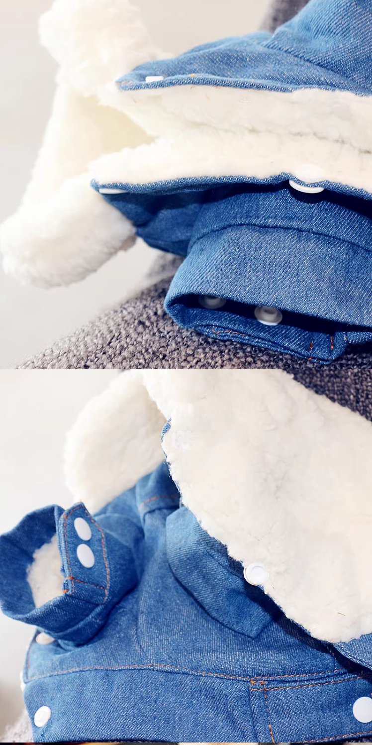 Thickened Warm Dog Cotton Jacket – Stylish Denim Winter Coat (XS to XL)