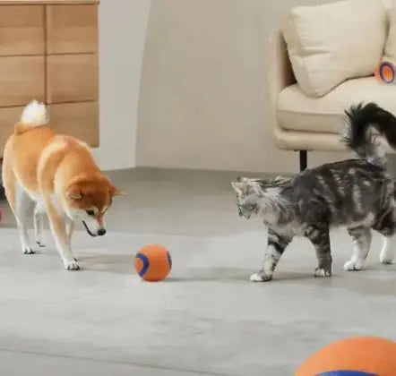 Dog Fetch Toy Ball – Inflatable Rubber Ball for Dogs and Cats in Bright Orange