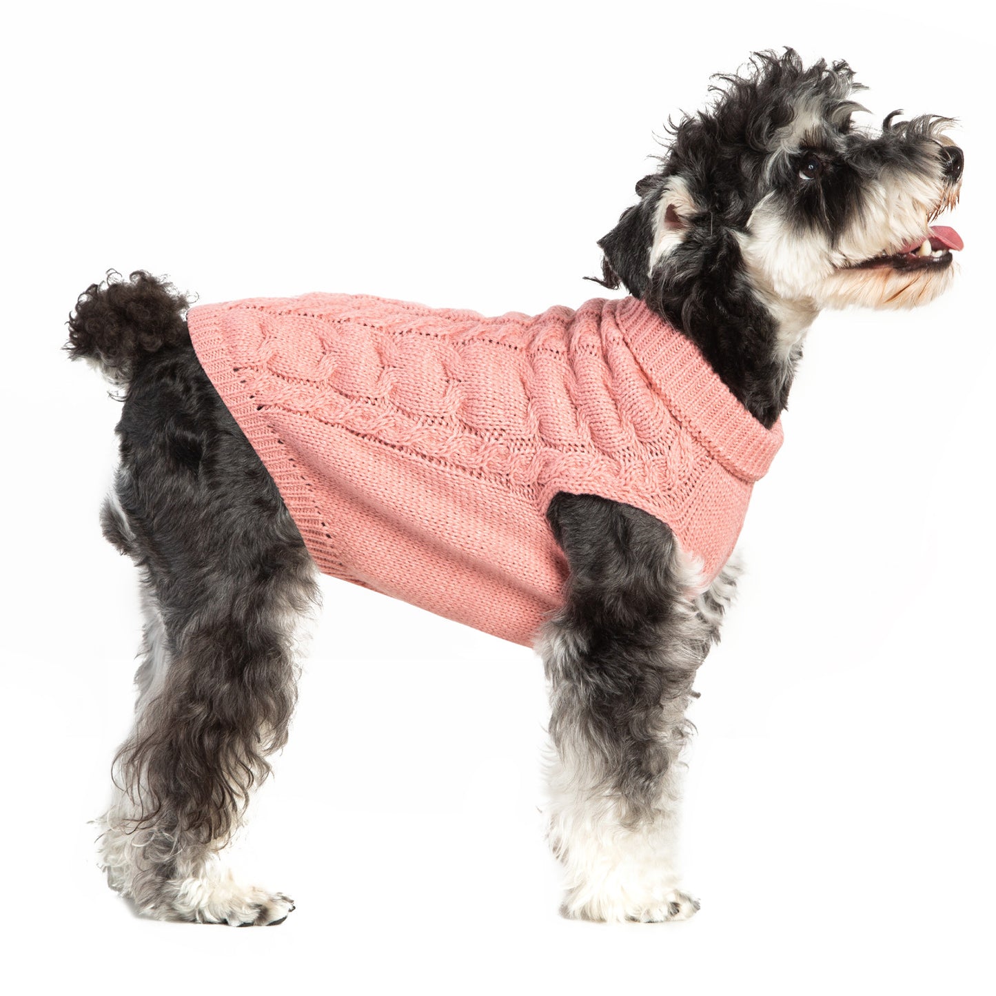 Autumn and Winter Warm Woolen Pet Clothes – Cozy Wool-Acrylic Blend Sweaters for Dogs & Cats (XS to XL Sizes)