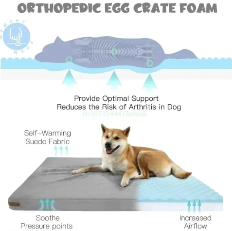 Orthopedic Memory Foam Dog Bed – Washable, Crate-Friendly Lounger for All Sizes