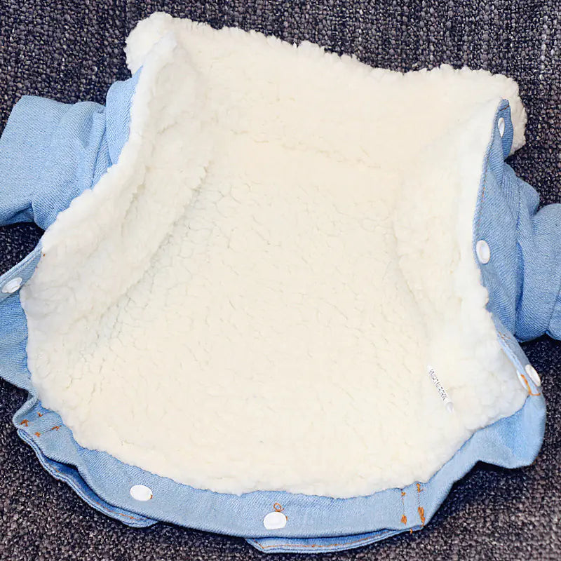 Thickened Warm Dog Cotton Jacket – Stylish Denim Winter Coat (XS to XL)
