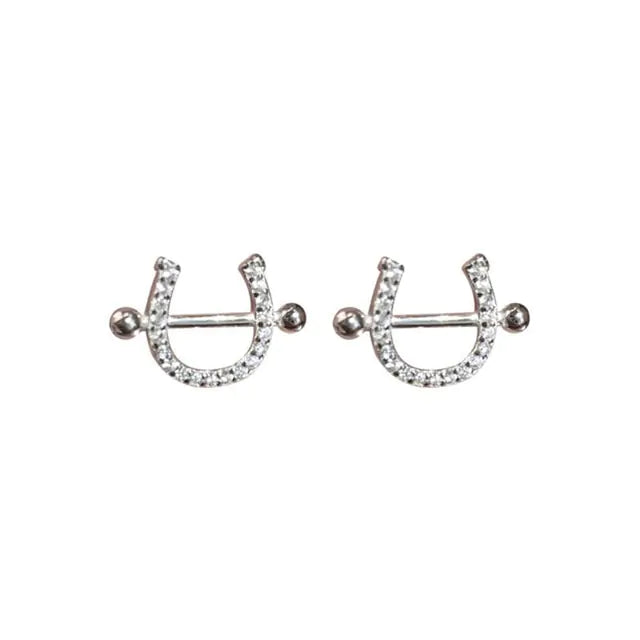 Horseshoe Zircon Necklace & Earrings: A Touch of Elegance and Luck