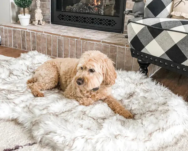 Faux Fur Orthopedic Dog Bed – Soft, Supportive, and Stylish for All Breeds