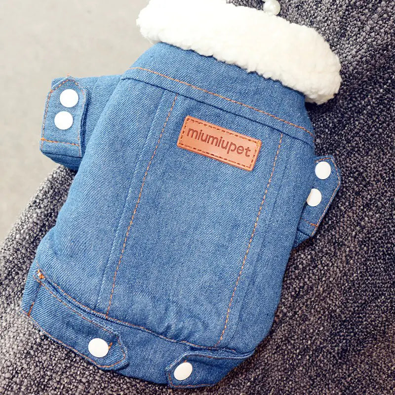 Thickened Warm Dog Cotton Jacket – Stylish Denim Winter Coat (XS to XL)