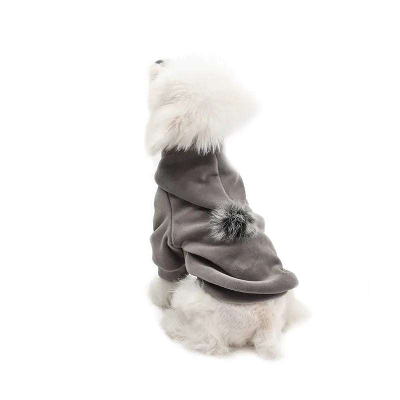 Cute Pet Ball Hoodie – Soft Golden Velvet Dog Sweater with Pom-Pom Hood (XS–XXL)