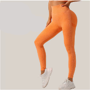 Women’s Sports Fitness Buttocks Lifting Yoga Set (High-Waisted Leggings & Supportive Bra)
