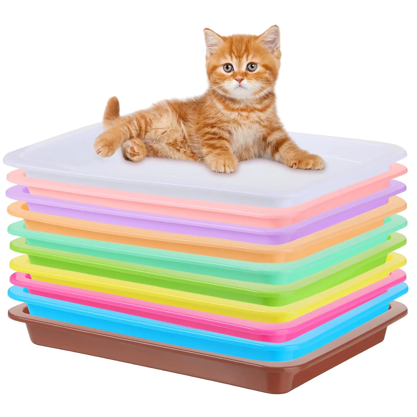 10-Piece Small Litter Box Set – Lightweight, Colorful & Portable