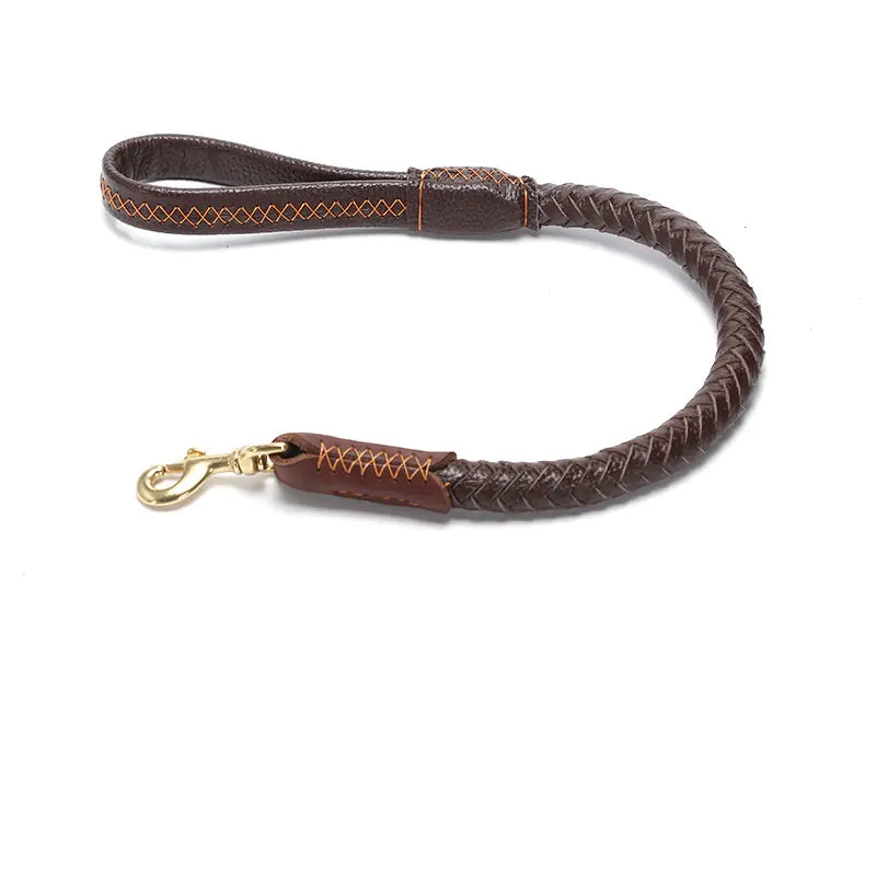 Leather Dog Leash with Optional Matching Collar – Durable Premium Leather for Medium to Large Dogs (Sizes S–XL)