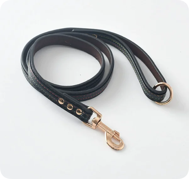 Premium Leather Pet Leash and Collar Set – Adjustable Fit for Small to Large Dogs (Black, Red, Coffee, Yellow)