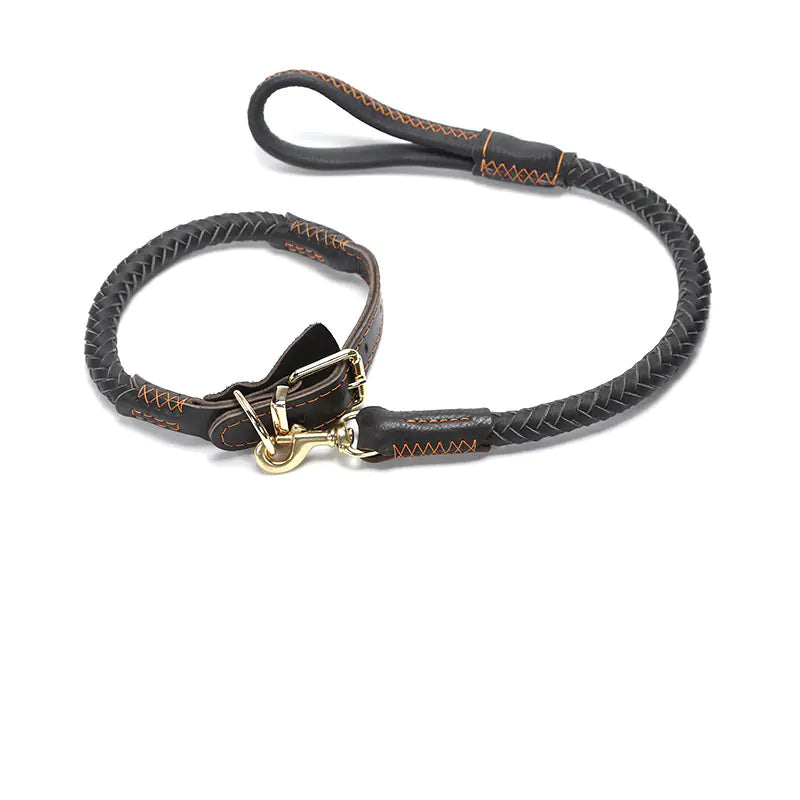 Leather Dog Leash with Optional Matching Collar – Durable Premium Leather for Medium to Large Dogs (Sizes S–XL)