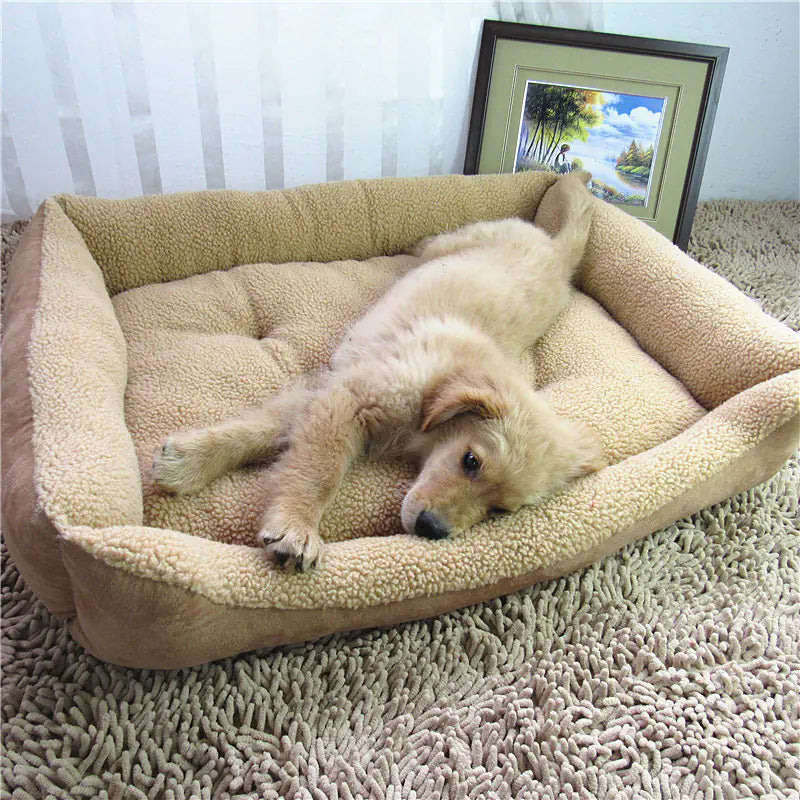 Teddy Golden Retriever Bed – Soft Plush Pet Nest in Cashmere Colors