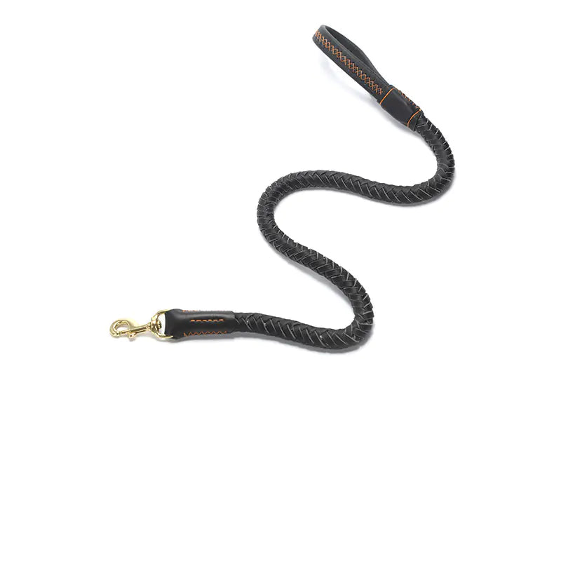 Leather Dog Leash with Optional Matching Collar – Durable Premium Leather for Medium to Large Dogs (Sizes S–XL)
