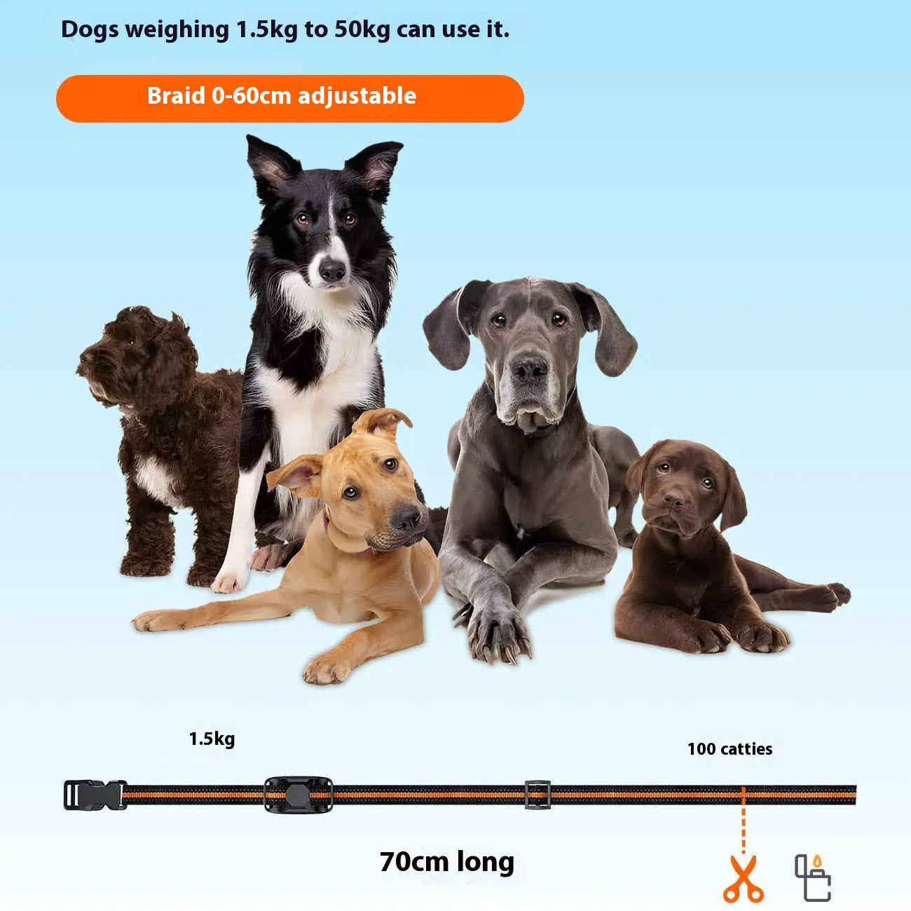 Waterproof Remote Dog Training Collar – 1000m Range, Sound, Vibration & Shock Modes (IP67 Rated)