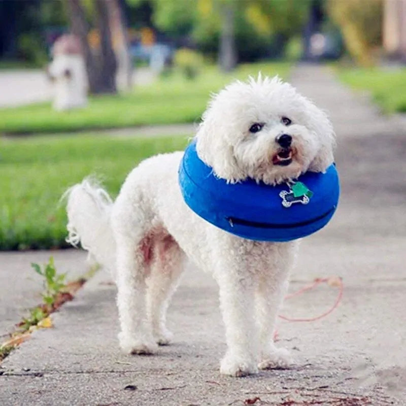 Inflatable Pet Recovery Collar – Comfortable, Cone-Free Healing for Dogs and Cats