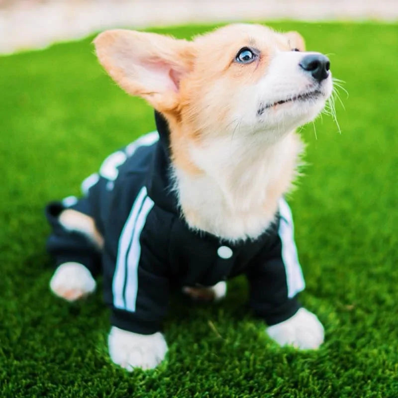 Dog Jumpsuit Costume – Adorable, Cozy Outfit for Small & Medium Dogs