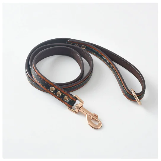Premium Leather Pet Leash and Collar Set – Adjustable Fit for Small to Large Dogs (Black, Red, Coffee, Yellow)