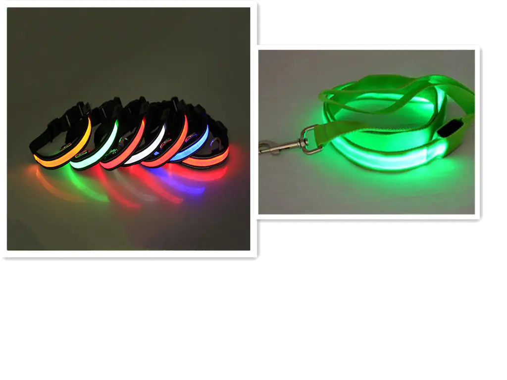 USB Rechargeable LED Dog Collar – High-Visibility Light-Up Collar for Nighttime Walks (Sizes XS–XL)