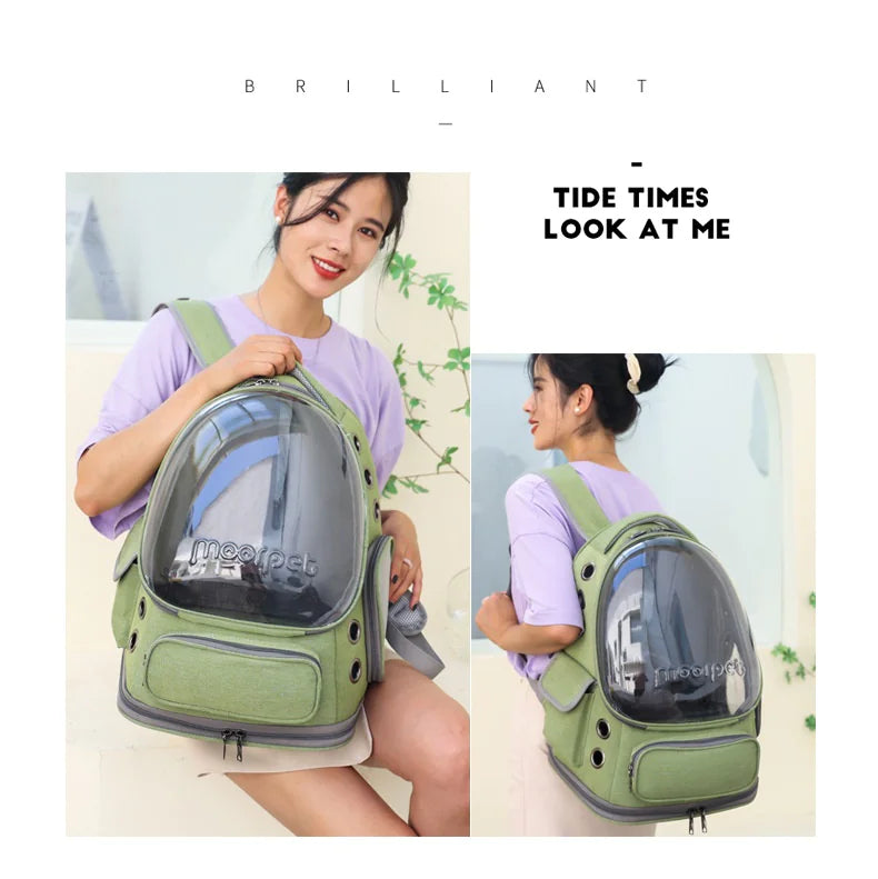 Transparent Pet Carrier Bag – Stylish, Breathable Travel Backpack for Cats and Small Pets