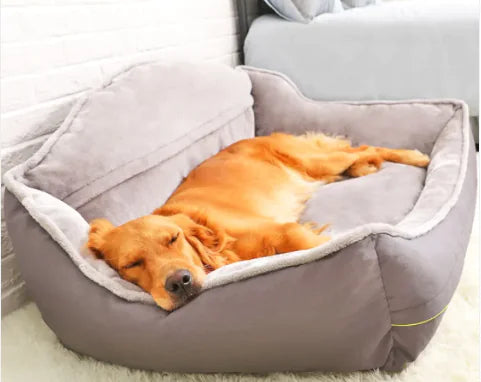 Sofa Dog Bed – Stylish & Supportive Lounger for Small to Extra-Large Pets