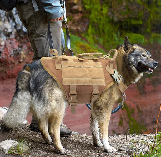 Combat Dog Harness – Heavy-Duty Chest Vest for Large Dogs with Handle and Leash Attachment (M & L Sizes)