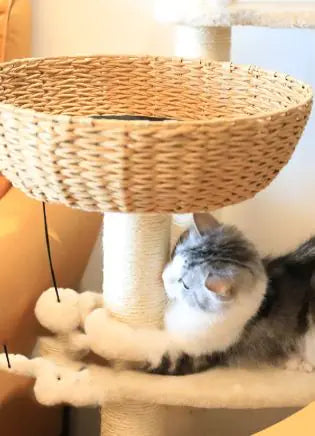 Cattail Cat Tree Tower – Oversized Cloud-Style Perch for Lounging Cats
