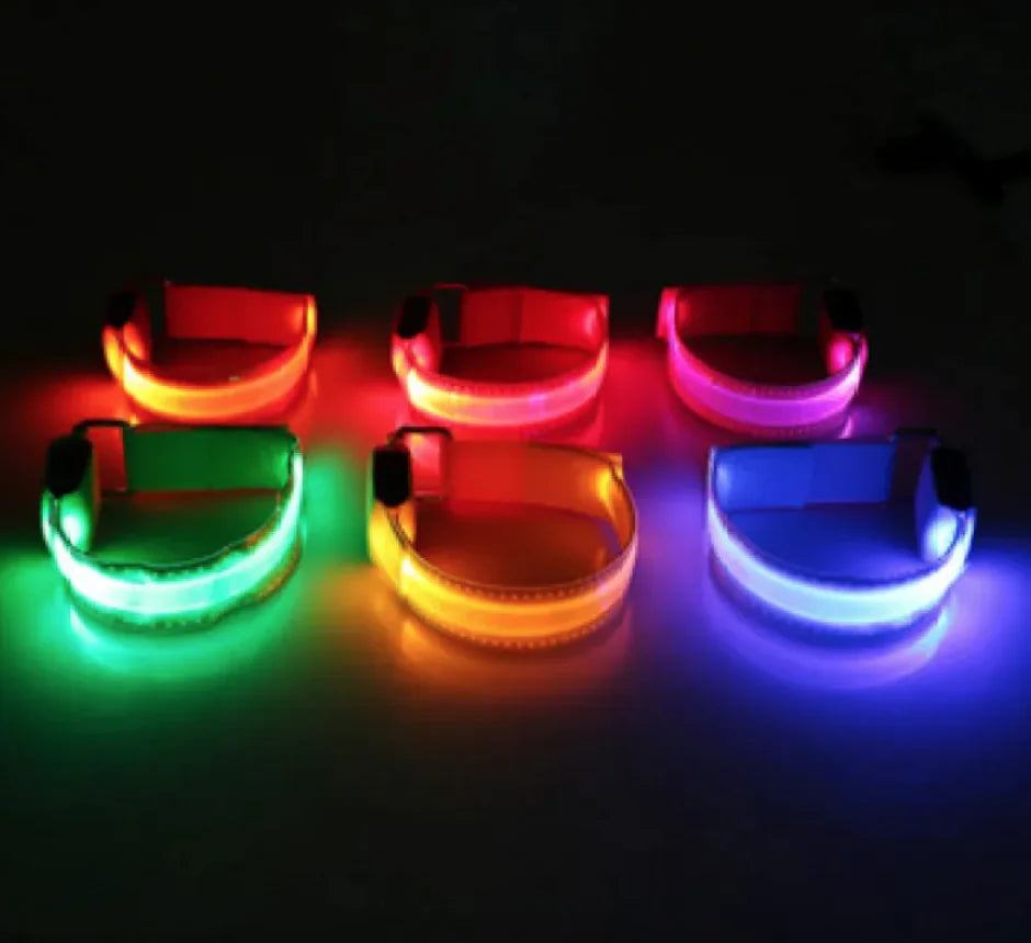 LED Safety Dog Collar – Rechargeable Light-Up Adjustable Collar for Night Walks (Multiple Flash Modes)