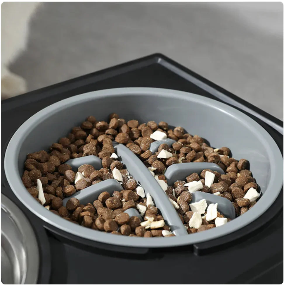 Elevated Dog Bowls with Height-Adjustable Stand