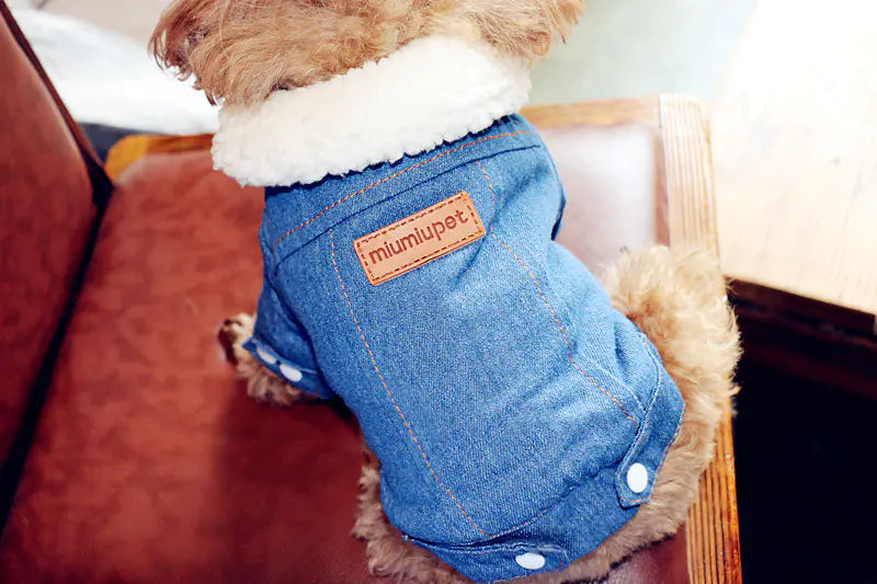 Thickened Warm Dog Cotton Jacket – Stylish Denim Winter Coat (XS to XL)