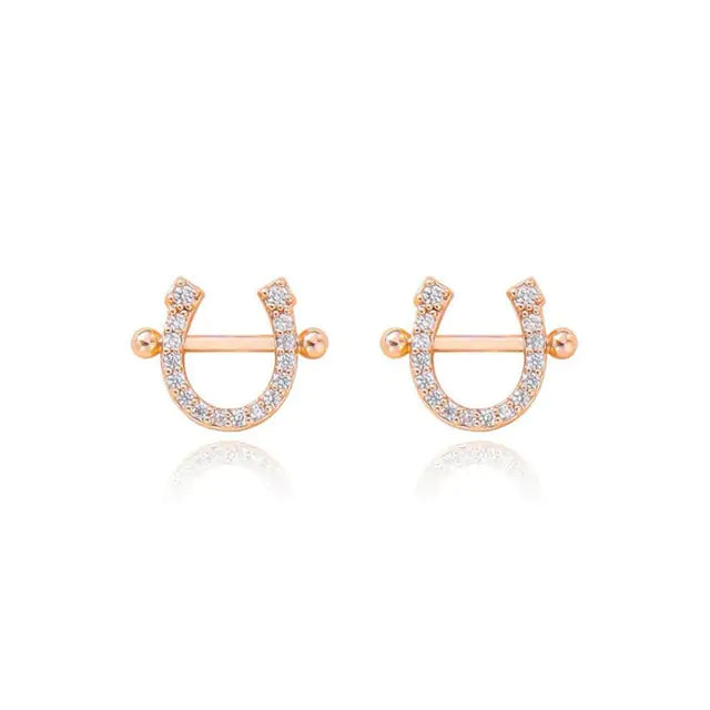 Horseshoe Zircon Necklace & Earrings: A Touch of Elegance and Luck