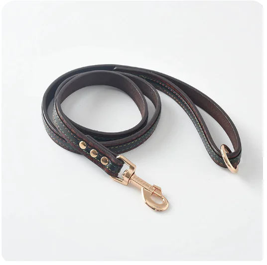 Premium Leather Pet Leash and Collar Set – Adjustable Fit for Small to Large Dogs (Black, Red, Coffee, Yellow)