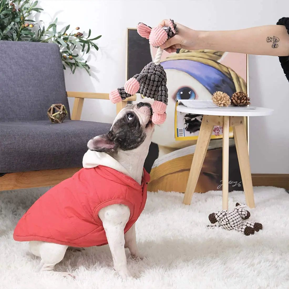 Interactive Plush Animal Dog Toys – Soft, Squeaky Training Companions in Gray, Beige, and Brown
