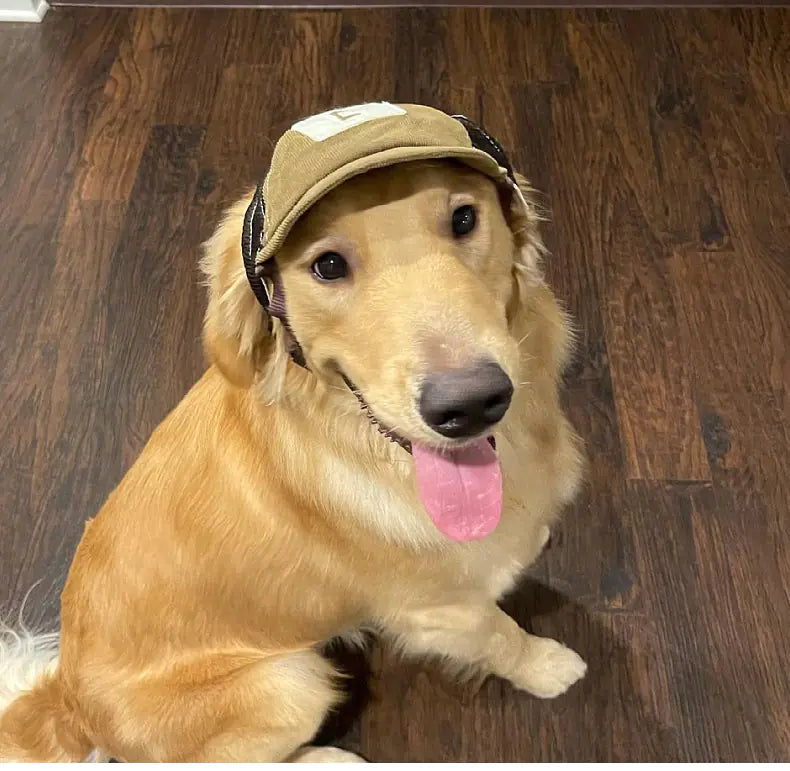 Pet Hat Sports Sunscreen Dog – Breathable Sun Hat with Adjustable Fit for Small to Large Dogs (S–L)