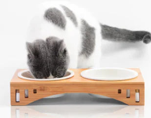 Elegant Solid Wood Pet Dining Table with Bowl Stand