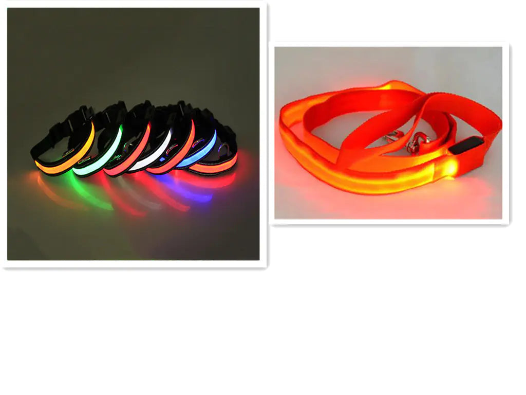 USB Rechargeable LED Dog Collar – High-Visibility Light-Up Collar for Nighttime Walks (Sizes XS–XL)