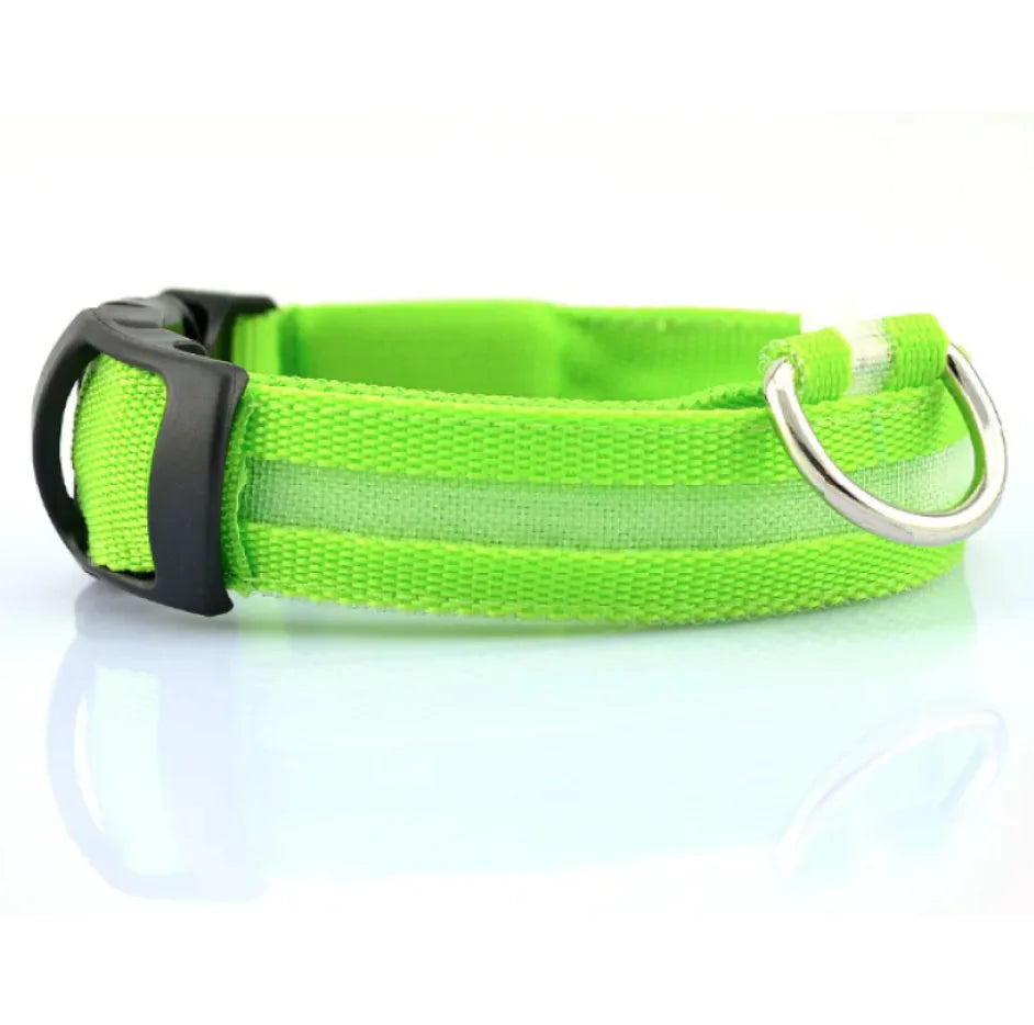 LED Safety Dog Collar – Rechargeable Light-Up Adjustable Collar for Night Walks (Multiple Flash Modes)