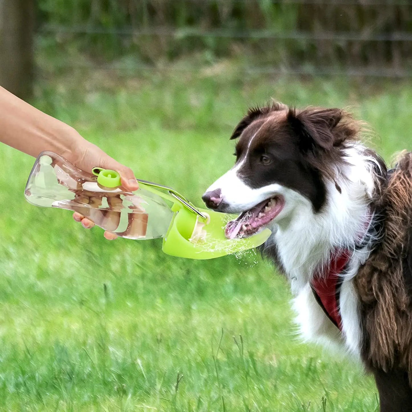 Portable Pet Water Dispenser Feeder – Leak-Proof Flip Cup for On-the-Go Hydration