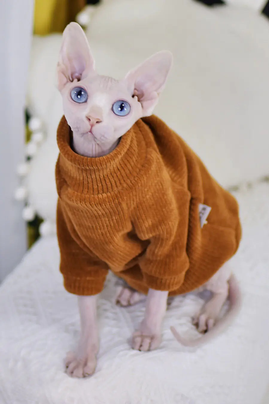 Sphinx Hairless Cat Clothes – Luxurious Rabbit Hair Apparel for Stylish Sphynx Cats