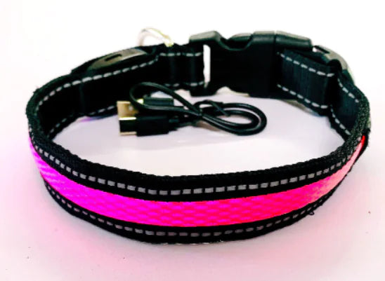 USB Rechargeable LED Dog Collar – High-Visibility Light-Up Collar for Nighttime Walks (Sizes XS–XL)