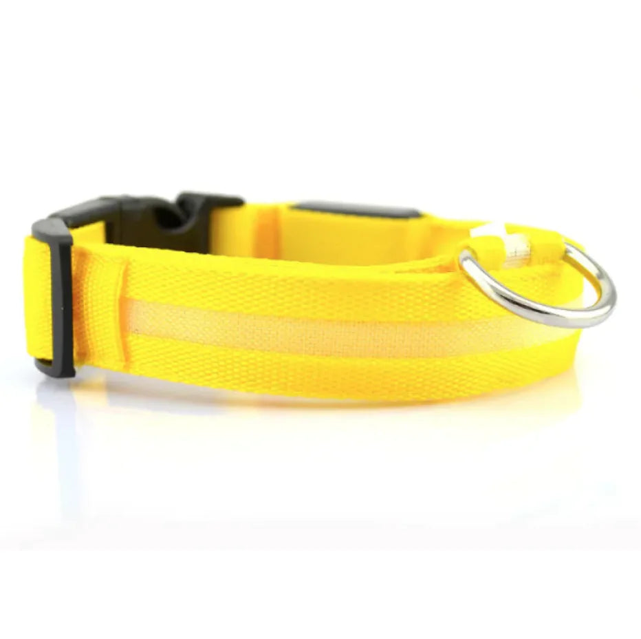 LED Safety Dog Collar – Rechargeable Light-Up Adjustable Collar for Night Walks (Multiple Flash Modes)