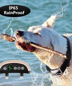 Anti Bark Collar Control Device – Safe, Adjustable, and Humane Training Solution