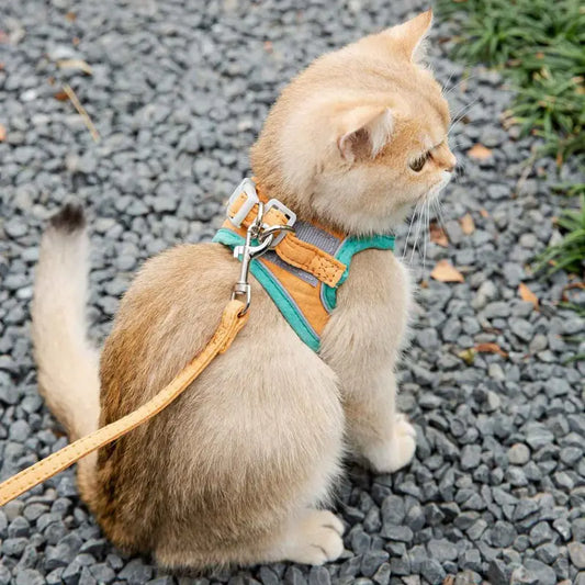 Cat Harness Leash Set – Adjustable, Breathable & Stylish for Outdoor Adventures